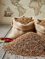 Cumin Seeds | Premium Whole Cumin | Bulk Spice Supplier - Image 2